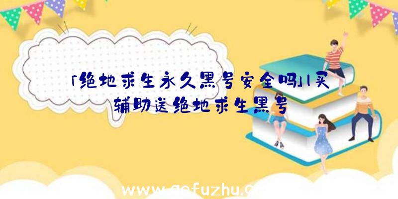 「绝地求生永久黑号安全吗」|买辅助送绝地求生黑号